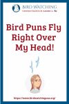 Bird Puns Fly Right Over My Head- an image of a bird pun