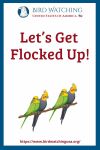 Let’s Get Flocked Up- an image of a bird pun
