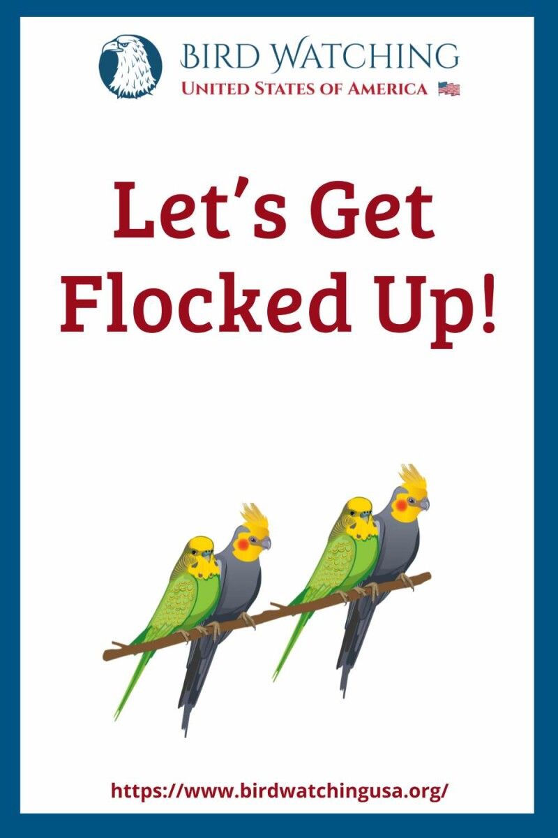 62 Funny Bird Puns & Pictures to Make You Smile!