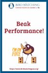 Beak Performance- an image of a bird pun