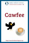 Cawfee - an image of a bird pun