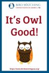 It’s Owl Good- an image of a bird pun