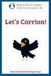 Let’s Carrion- an image of a bird pun