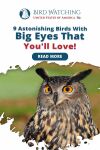 9 Astonishing Birds with Big Eyes That You'll Love! Thumbnail