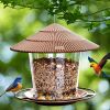 Hanizi Bird Feeder