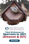 7 Best Birdhouses for Sparrows in 2021 (Amazon & DIY) Thumbnail