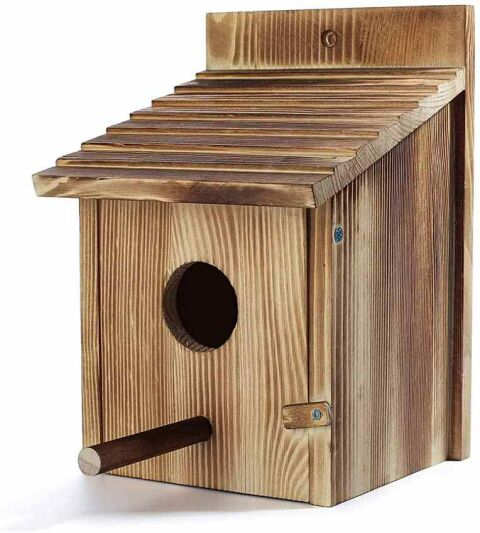 7 Best Birdhouses for Sparrows in 2021 (Amazon & DIY)