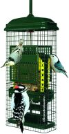 Squirrel Buster Suet Squirrel-proof Suet Bird Feeder