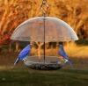 Woodlink Dome Top Seed and Bluebird Feeder