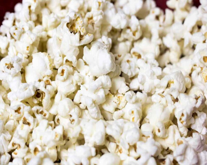 Can Birds Eat Popcorn? Popped or Unpopped? Read This!