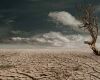 climate change barren land