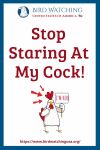 Stop Staring At My Cock- an image of a chicken pun