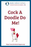 Cock A Doodle Do Me- an image of a chicken pun