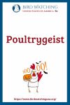 Poultrygeist- an image of a chicken pun