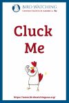 Cluck Me- an image of a chicken pun
