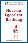 Have an Eggcelent Birthday- an image of a chicken pun