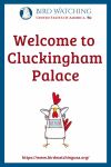 Welcome to Cluckingham Palace- an image of a chicken pun