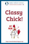Classy Chick- an image of a chicken pun