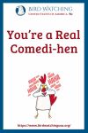 You’re a Real Comedi-hen- an image of a chicken pun