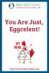 You Are Just, Eggcelent!- an image of a chicken pun
