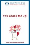 You Crack Me Up- an image of a chicken pun