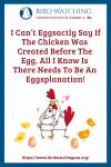 I Can’t Eggsactly Say If The Chicken Was Created Before The Egg, All I Know Is There Needs To Be An Eggsplanation.- an image of a chicken pun