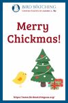 Merry Chickmas- an image of a chicken pun