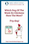 Which Day Of The Week Do Chickens Hate The Most? Fry-day- an image of a chicken pun