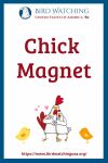 Chick Magnet- an image of a chicken pun