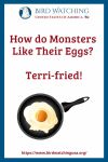 How do Monsters Like Their Eggs? Terri-fried- an image of a chicken pun