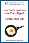 How Do Comedians Like Their Eggs? Funny Side Up!- an image of a chicken pun