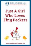 Just A Girl Who Loves Tiny Peckers- an image of a chicken pun