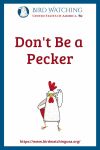 Don't Be a Pecker- an image of a chicken pun