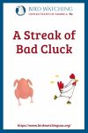 A Streak of Bad Cluck- an image of a chicken pun