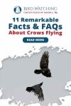 11 Remarkable Facts and FAQs about Crows Flying Thumbnail