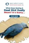 What Does Seeing a Dead Bird Really Mean? It’s Scary! Thumbnail