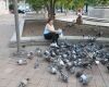 feeding pigeons