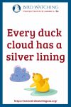 Every duck cloud has a silver lining- an image of a duck pun