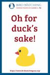 Oh for duck’s sake!- an image of a duck pun