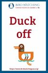 Duck off- an image of a duck pun