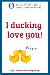 I ducking love you- an image of a duck pun