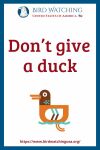 Don’t give a duck- an image of a duck pun