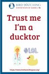 Trust me I’m a ducktor- an image of a duck pun