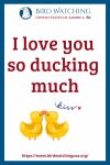 I love you so ducking much- an image of a duck pun