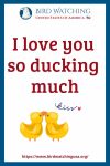 I love you so ducking much- an image of a duck pun