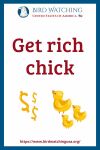 Get rich chick- an image of a duck pun