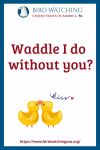 Waddle I do without you?- an image of a duck pun