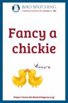 Fancy a chickie- an image of a duck pun