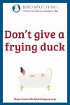 Don’t give a frying duck- an image of a duck pun