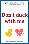 Don’t duck with me- an image of a duck pun